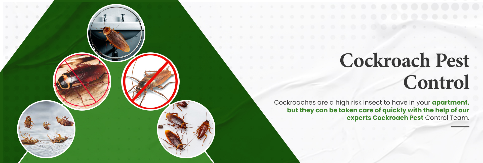 godrej pest control cockroach service
