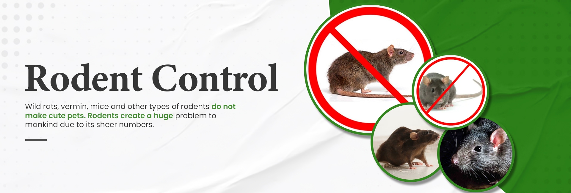 godrej pest control rodent control service